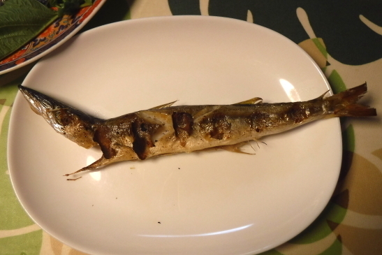 20210807生コン0021.JPG