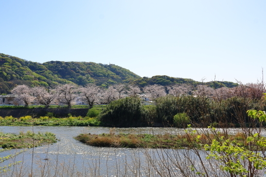 20240410GI095A4116.JPG