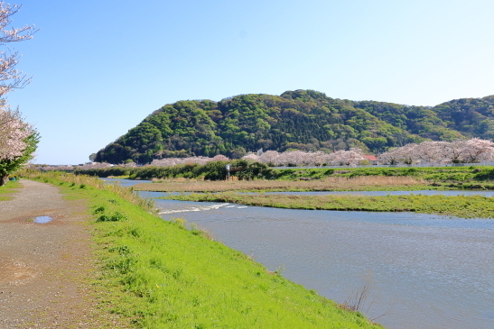 20240410GI095A4129.JPG