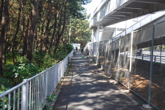 220409陸橋清掃02.JPG