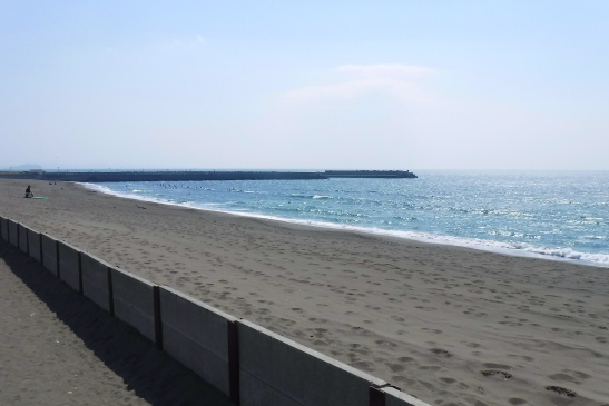 220409陸橋清掃03.JPG