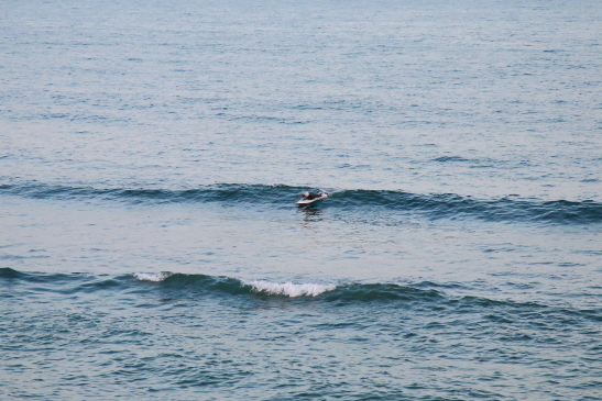 220410yuugatano08.JPG