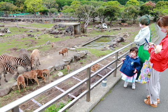 220427GWワンパラ014.JPG