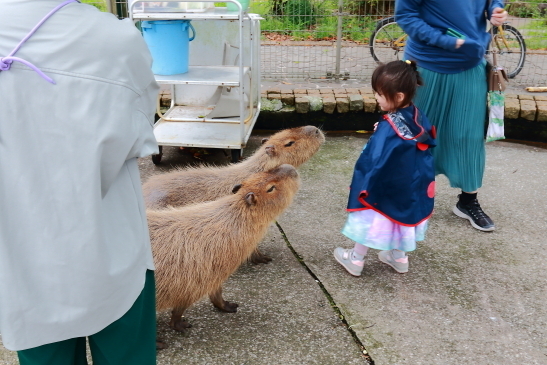 220427GWワンパラ018.JPG