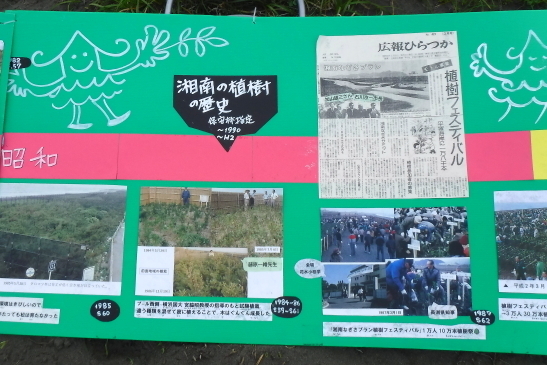 220522海街FES04.JPG