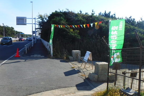 221119高浜台陸橋清掃01.JPG