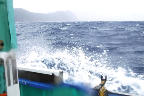 221125八丈島16.JPG