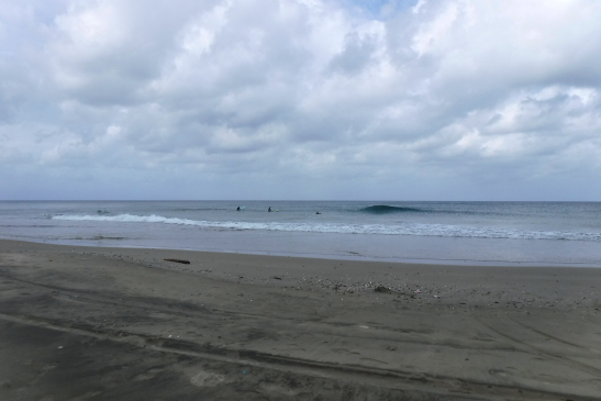 230422種子島27.JPG