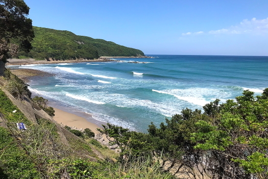 230422種子島43.JPG