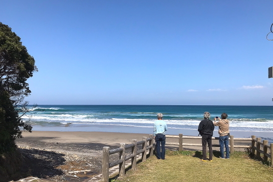 230422種子島44.JPG