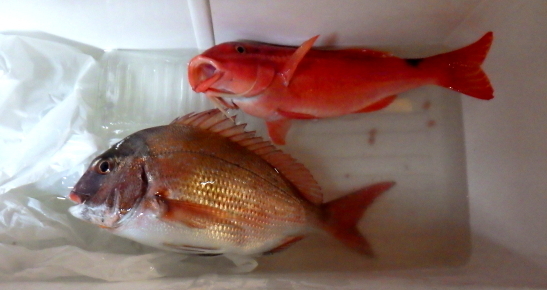 23052707.JPG