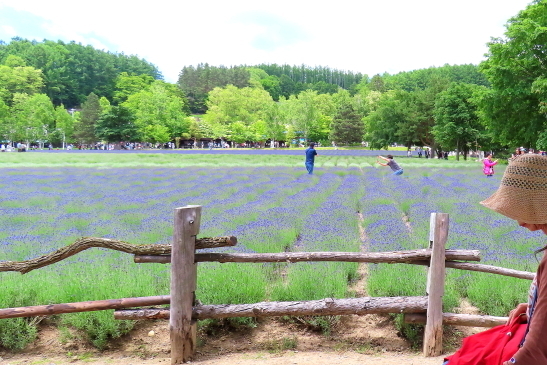 230622北海道12.JPG