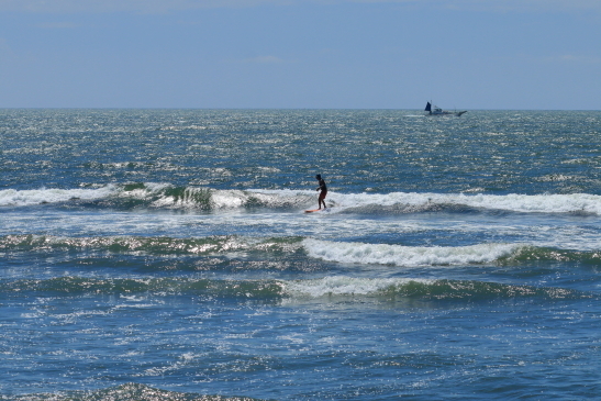 230817OGIIMG_5482.JPG
