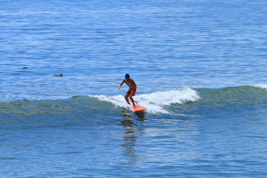 230822OGiIMG_5511.JPG