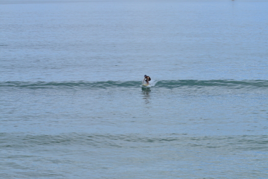 230822OGiIMG_5540.JPG