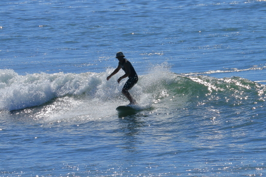 230901OGiIMG_5953.JPG