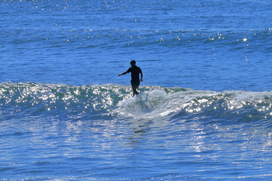230901OGiIMG_5961.JPG