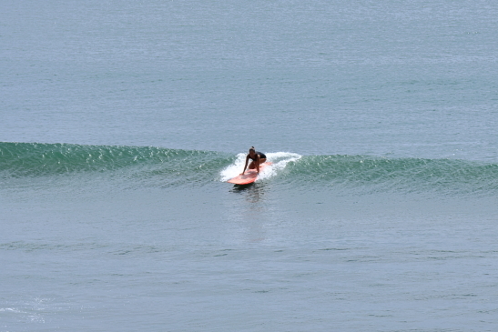 230903OGI095A6154.JPG