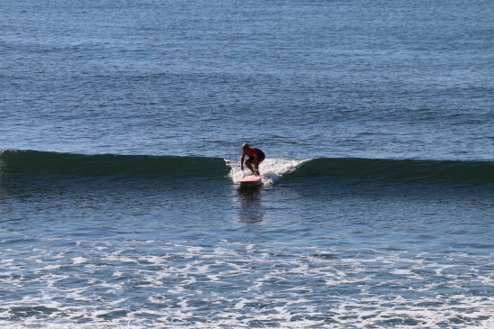 230912OGIIMG_6065.JPG