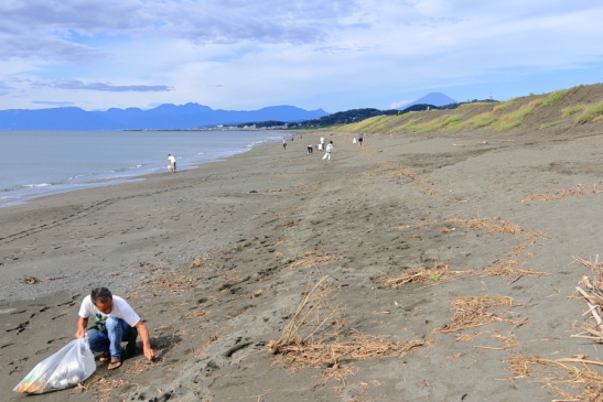 230924Beachcrean02.JPG