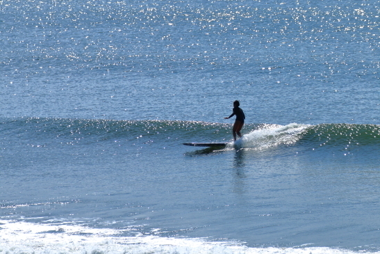 230925OGIIMG_6420.JPG