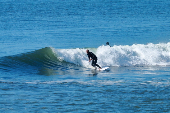 231016OGIIMG_6619.JPG