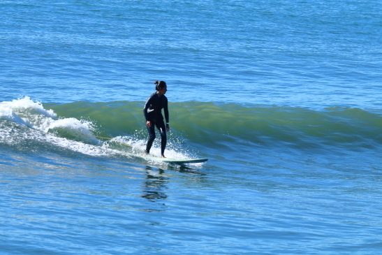 231016OGIIMG_6620.JPG