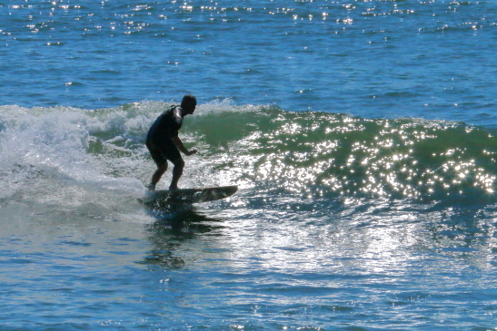 231016OGIIMG_6655.JPG