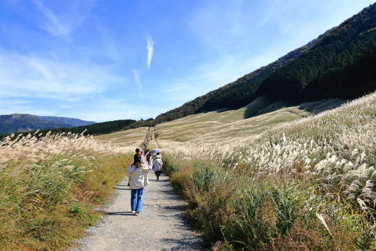 231019箱根095A7189.JPG