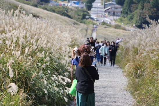 231019箱根095A7211.JPG
