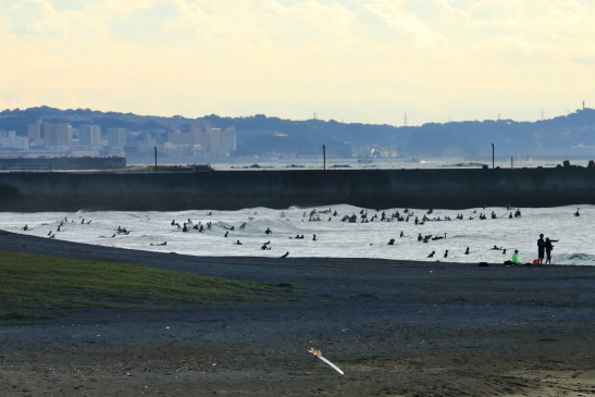 231021OGiIMG_6705.JPG