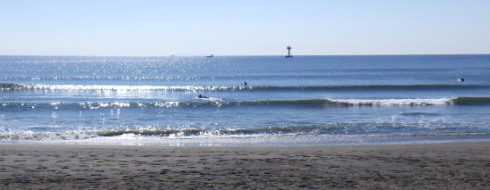 231026OGiRIMG1796.JPG