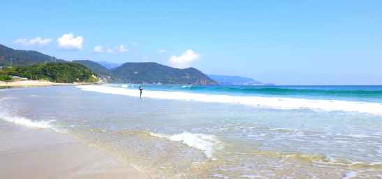 231027白浜トリップ05.JPG