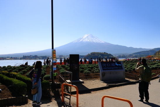 231102河口湖095A7644.JPG
