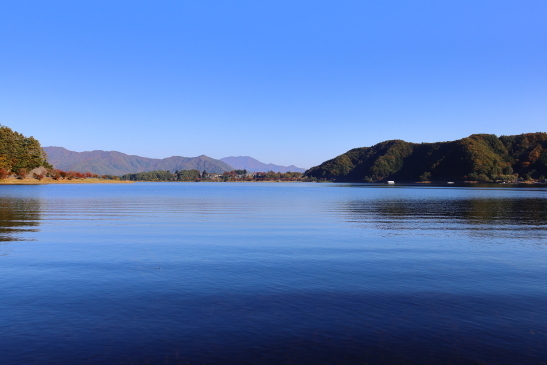231102河口湖095A7702.JPG