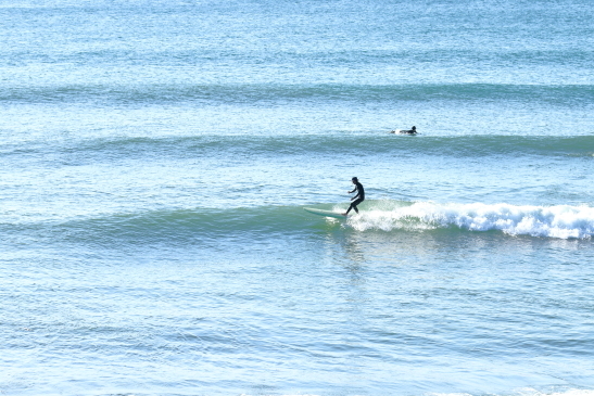 231108OGIIMG_7608.JPG