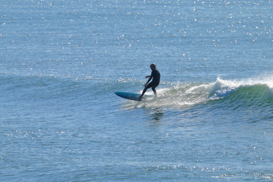 231108OGIIMG_7664.JPG
