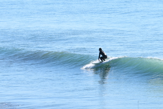 231114OGIIMG_7897.JPG