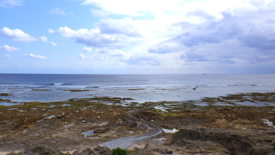 240125沖縄DAY404.JPG