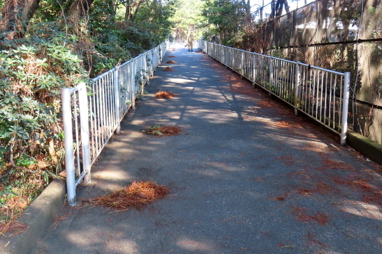 240309陸橋清掃活動010.JPG