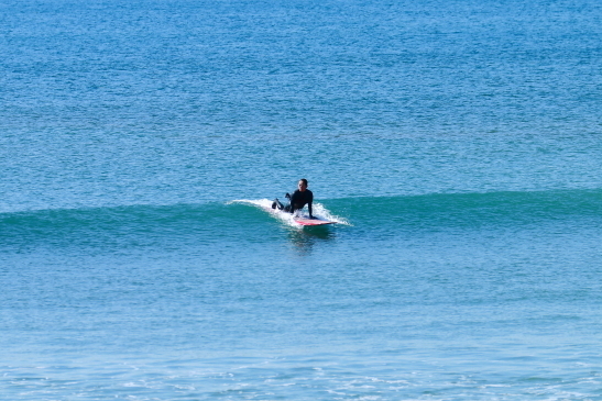 240311ICHIBANN009.JPG