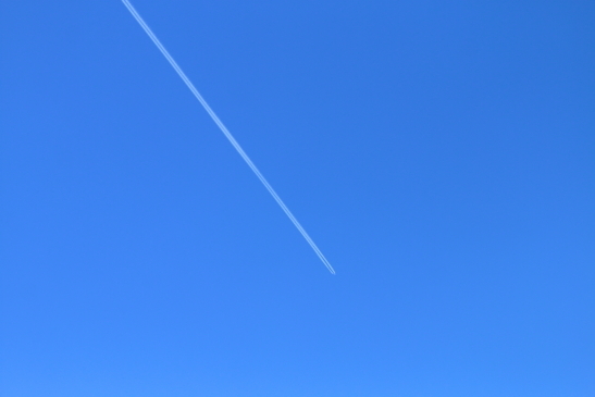 240505GW008.JPG