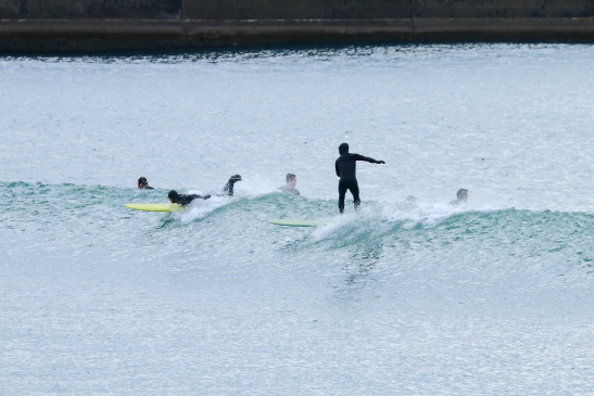 3月7日OGi1005.JPG