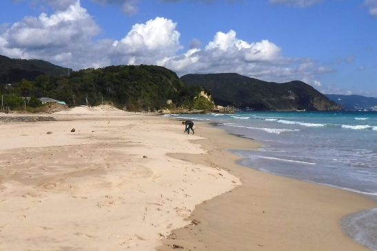 DSCF5335.JPG
