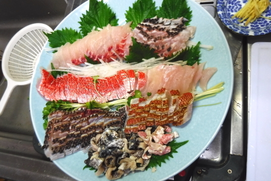 刺盛り.JPG
