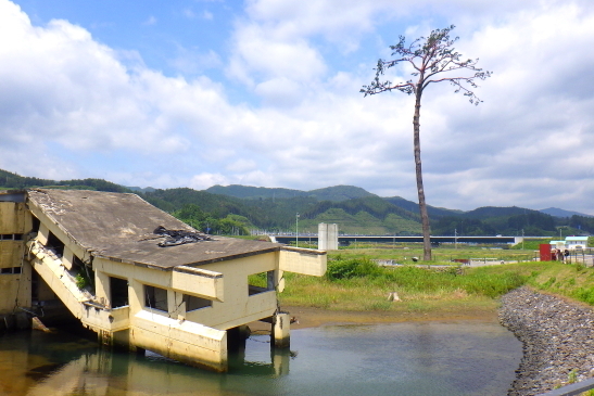 RIMG0637230706岩手波板.JPG
