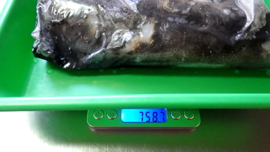 RIMG1770.JPG
